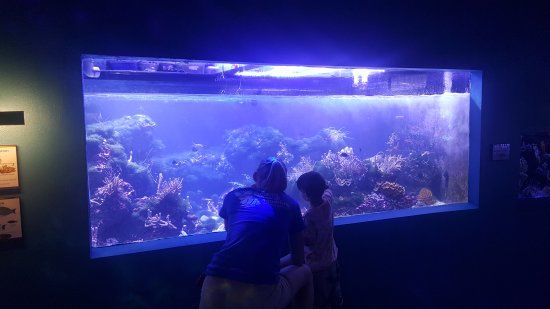 Sertoma Butterfly House & Marine Cove